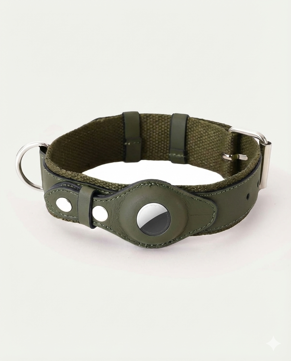 Stylish Collar for AirTag