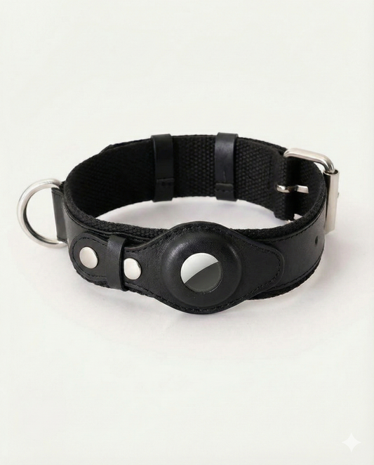 Stylish Collar for AirTag