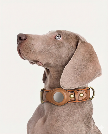 Stylish Collar for AirTag
