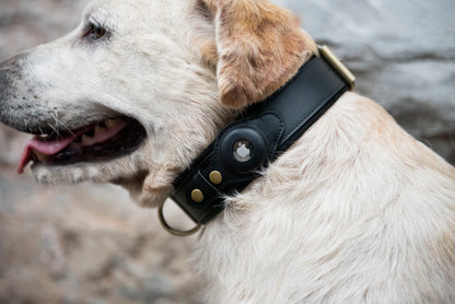 Stylish AirTag Dog Collar™
