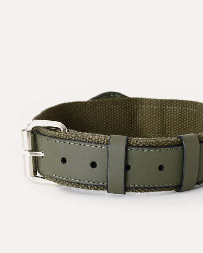 Stylish AirTag Dog Collar™