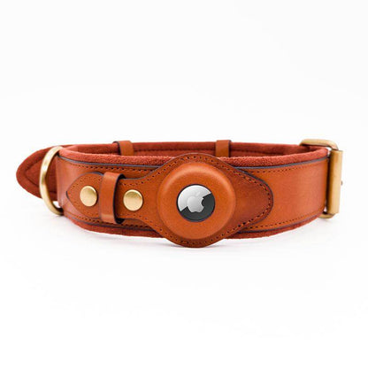 Stylish AirTag Dog Collar™